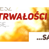 #066 Potrzebujesz tylko wytrwałości, reszta zrobi się sama