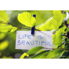 #089 Life is beautiful