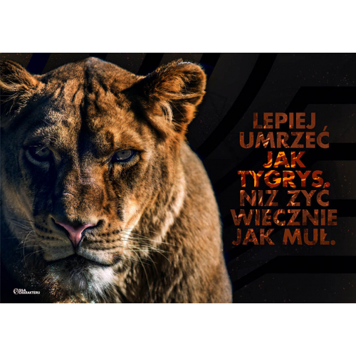 #044 Lepiej umrzeć jak tygrys niż żyć wiecznie jak muł