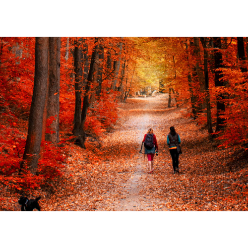 #052 Nigdy nie rezygnuj