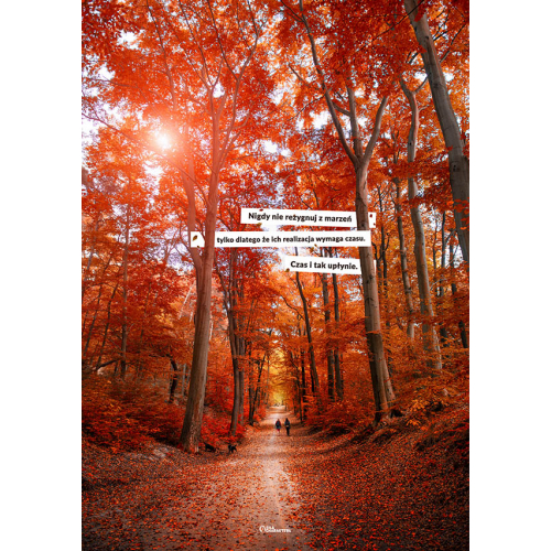 #052 Nigdy nie rezygnuj