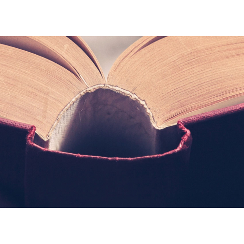 #056 Z dyscypliną, wiarą i dobrą wiedzą