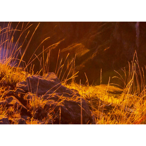 #057 W świecie w którym możesz być kim tylko chcesz, bądź sobą