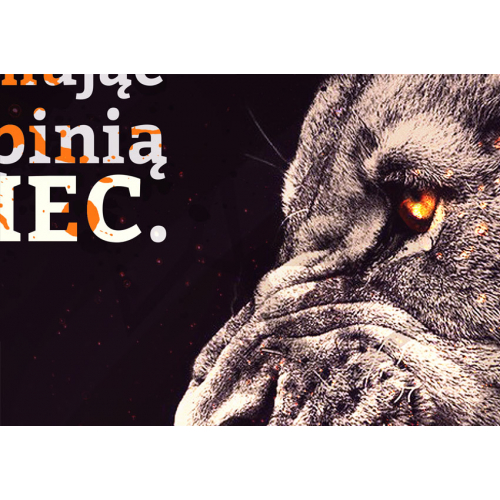 #065 Żaden lew nie traci snu przejmując się opinią owiec