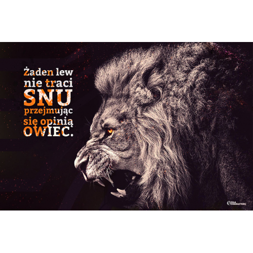 #065 Żaden lew nie traci snu przejmując się opinią owiec