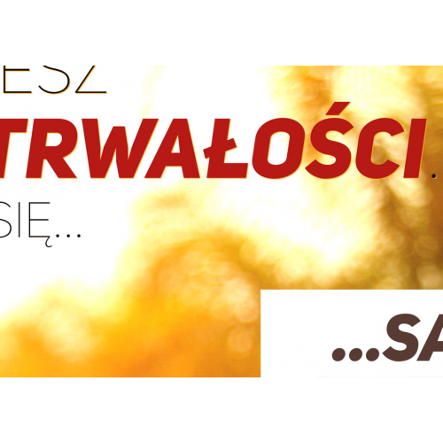 #066 Potrzebujesz tylko wytrwałości, reszta zrobi się sama