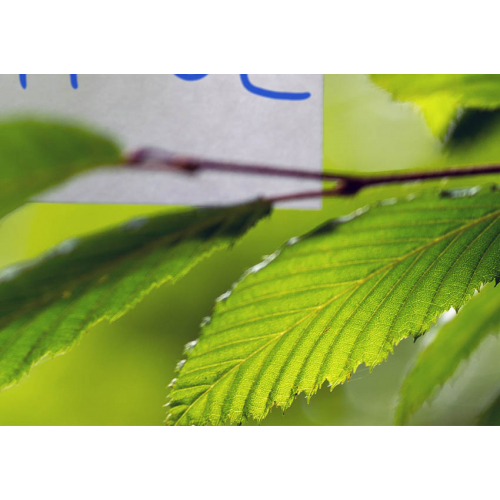 #089 Life is beautiful