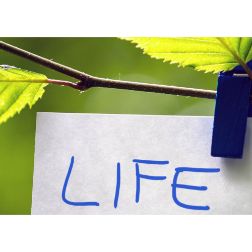 #089 Life is beautiful