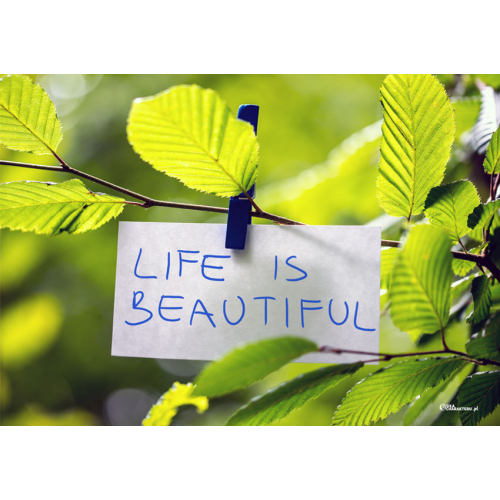 #089 Life is beautiful