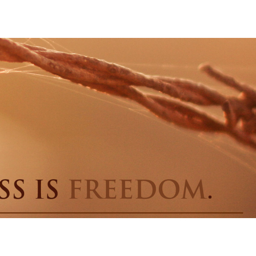 #096 The secret of happiness is freedom