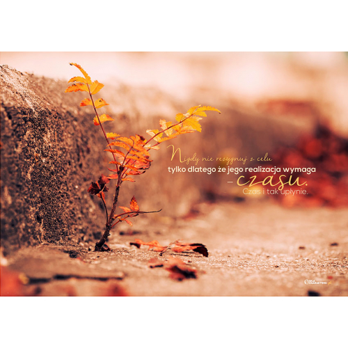 #099 Nigdy nie rezygnuj z celu, tylko dlatego że