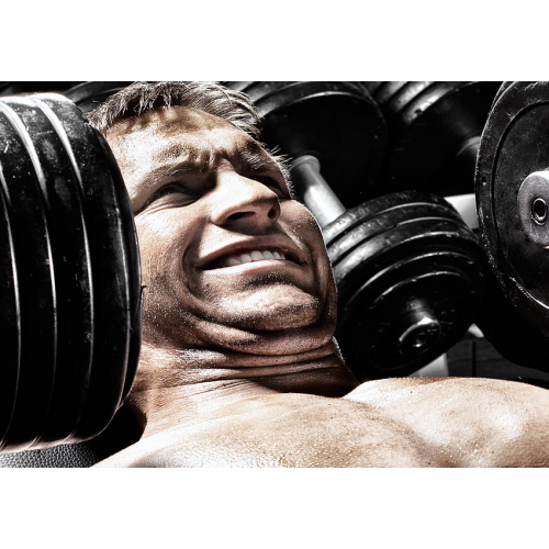 #108 Bez tekstu - samo logo