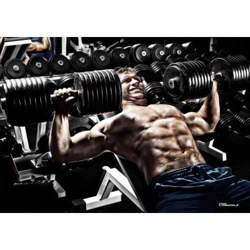 #108 Bez tekstu - samo logo