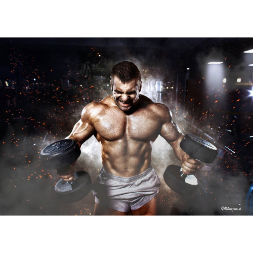 #115 Bez tekstu - samo logo - Kopia