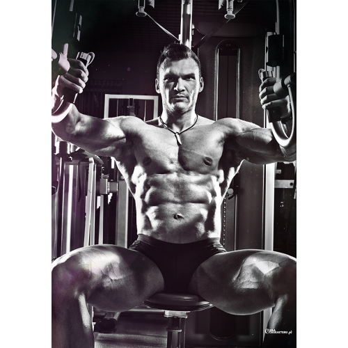 #128 Bez tekstu - samo logo