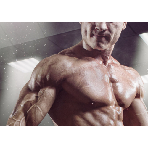 #129 Bez tekstu - samo logo