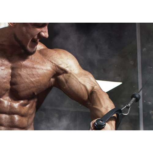 #137 Bez tekstu - samo logo