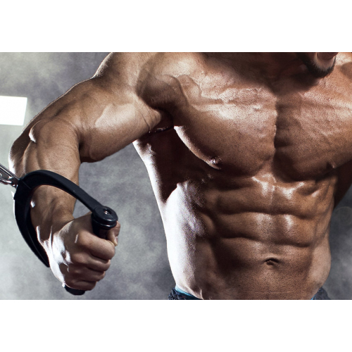 #137 Bez tekstu - samo logo