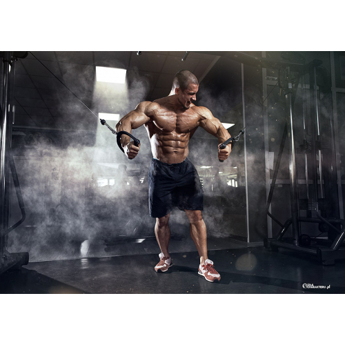 #137 Bez tekstu - samo logo