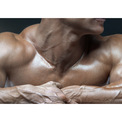 #146 Bez tekstu - samo logo