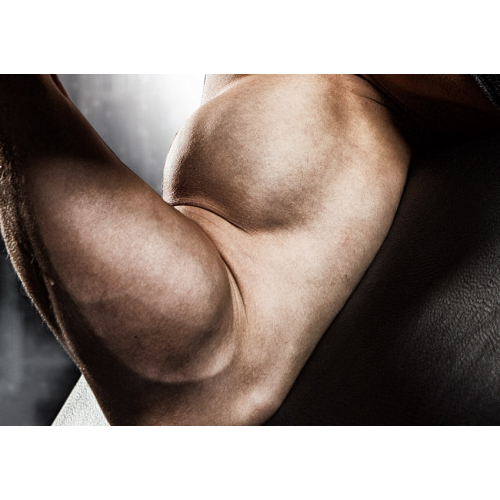 #157 Bez tekstu - samo logo