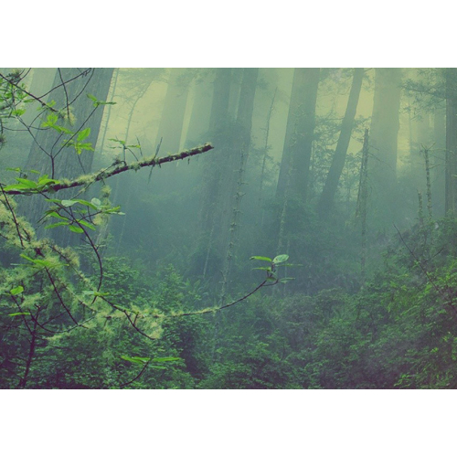 #168_p Take care of this moment